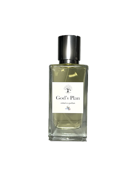 GOD'S PLAN - MORNINGSTAR PERFUMES